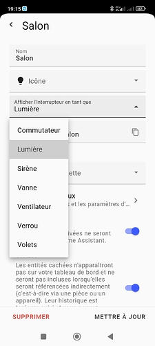 Screenshot_2024-07-04-19-15-34-437_io.homeassistant.companion.android