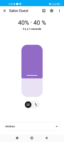 Screenshot_2025-03-06-09-36-21-694_io.homeassistant.companion.android