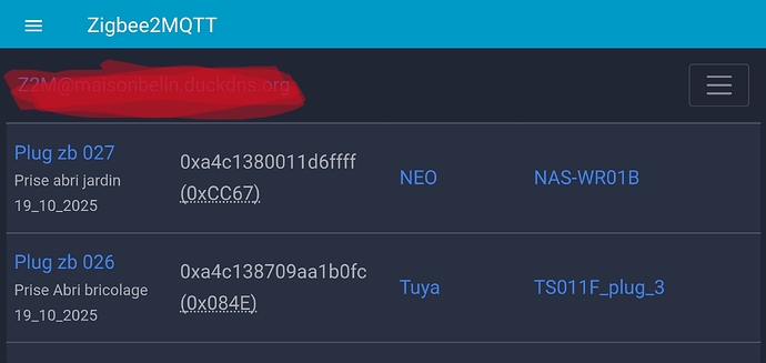 Screenshot_2025-11-02-11-39-28-770_io.homeassistant.companion.android-edit