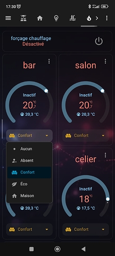 Screenshot_2026-03-10-17-30-31-252_io.homeassistant.companion.android