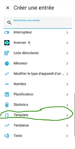 Screenshot_2025-05-04-13-22-24-175_io.homeassistant.companion.android-edit