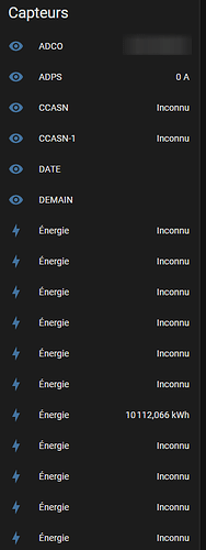 2025-01-13 09_48_43-Paramètres – Home Assistant - Opera