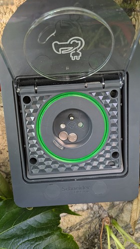 PXL_20250724_172920856.MP.jpg_compressed