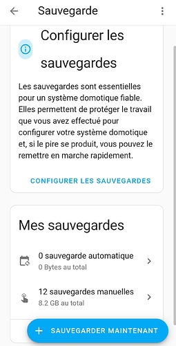 Screenshot_2025-02-06-11-00-40-809_io.homeassistant.companion.android-edit