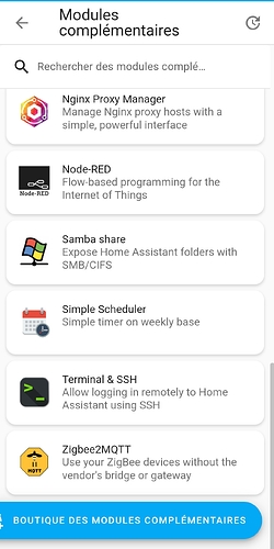 Screenshot_2024-10-16-12-59-48-938_io.homeassistant.companion.android-edit