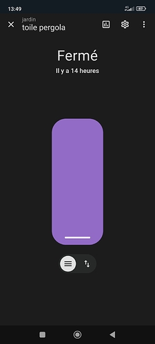 Screenshot_2025-08-08-13-49-47-484_io.homeassistant.companion.android