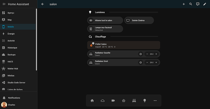 FireShot Capture 164 - Mobile – Home Assistant - homeassistant