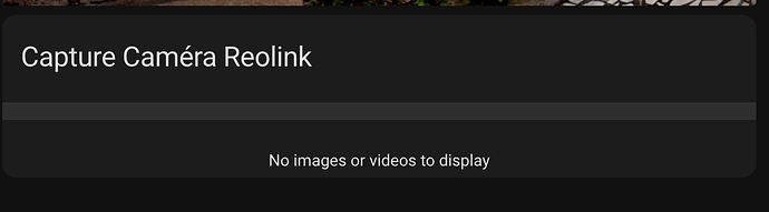 Capture d’écran 2025-05-11 à 16.52.23