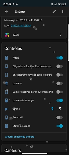 Screenshot_2025-12-24-18-09-07-636_io.homeassistant.companion.android