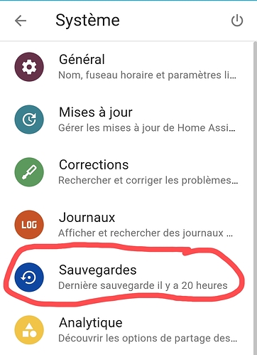 Screenshot_2025-01-04-00-04-58-579_io.homeassistant.companion.android-edit