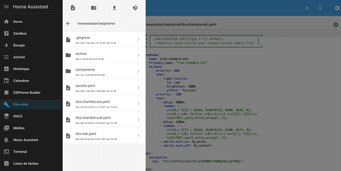 Dans le dossier esphome de HA secrets.yaml qui contient les codes wifi