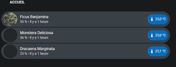 2025-11-02 18_52_42-Boîte de réception - dehass.mickael@free.fr - Outlook
