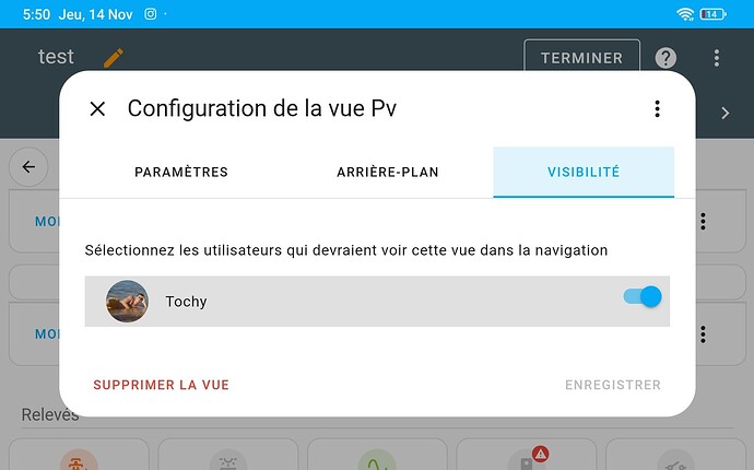 Screenshot_2024-11-14-05-50-49-405_io.homeassistant.companion.android
