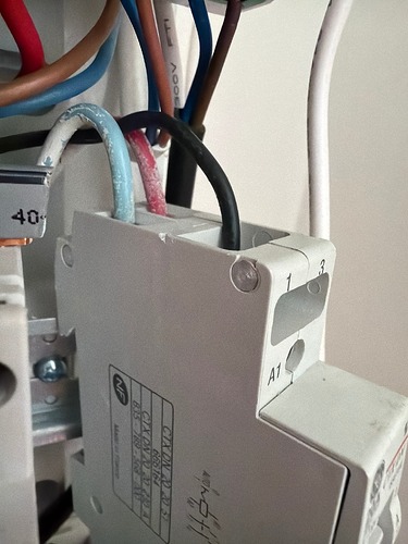 IMG_2400DFAC-4850-4131-97C2-299E73DC1511