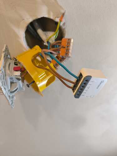 WhatsApp Image 2025-12-14 at 16.17.30