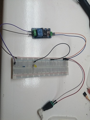 IMG_20240217_161653_1