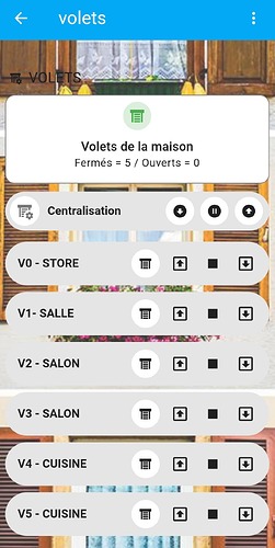 Screenshot_2025-03-06-19-59-39-552_io.homeassistant.companion.android-edit