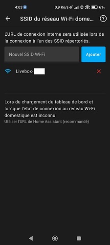 Screenshot_2024-07-07-04-03-35-854_io.homeassistant.companion.android