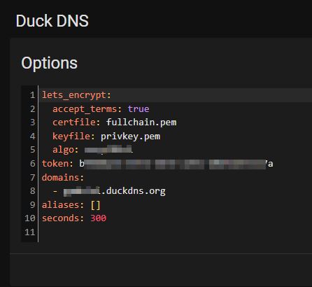 1DuckDNS