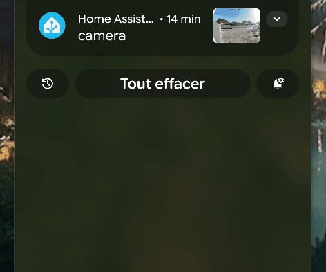 demo_notifs