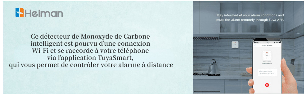 Detecteur monoxyde de carbone en50291 - NPM Lille