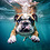 Benoit_Aubert
