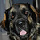 Damien_Delaunoit Damien_Delaunoit