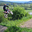 DAVID_39