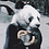 David_P