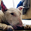 Dori_Doriginal Dori_Doriginal