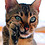 Jean-Louis_curty
