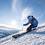 ski2008